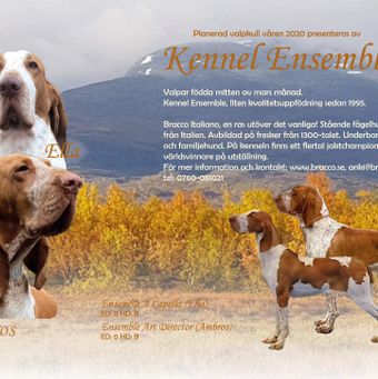 Kennel Ensemble